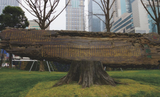 1614825045597539.jpg image.jpg